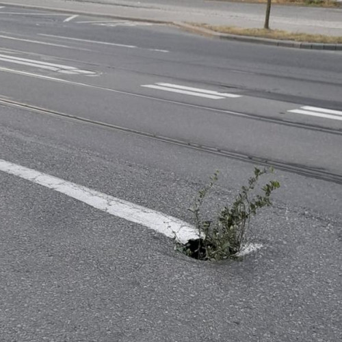 Bulevardul Muncii s-a surpat în zona stației de tramvai