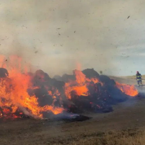 Incendiu de vegetație în comuna Boldut, Cluj