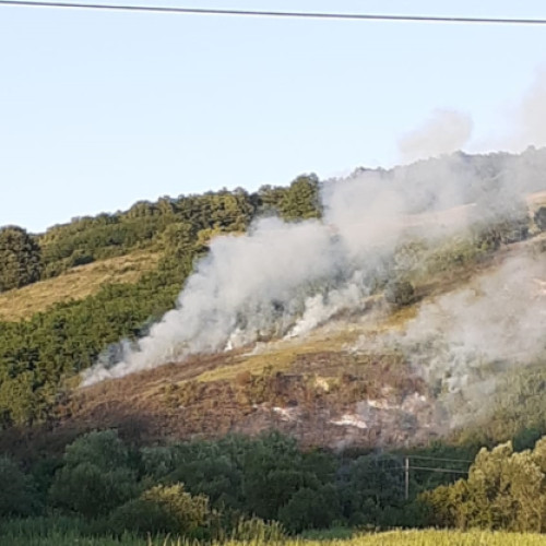 Incendiu de vegetație stins rapid în apropierea localității Santioana