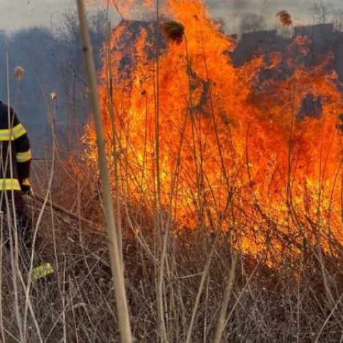 Un bărbat de 70 de ani și-a pierdut viața într-un incendiu de vegetație în județul Cluj