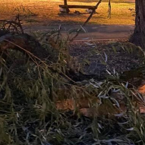 Incident în Parcul Rozelor din Cluj-Napoca