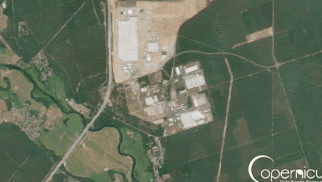 Defrișarea a aproape 500.000 de copaci pentru construcția gigafabricii Tesla din Germania