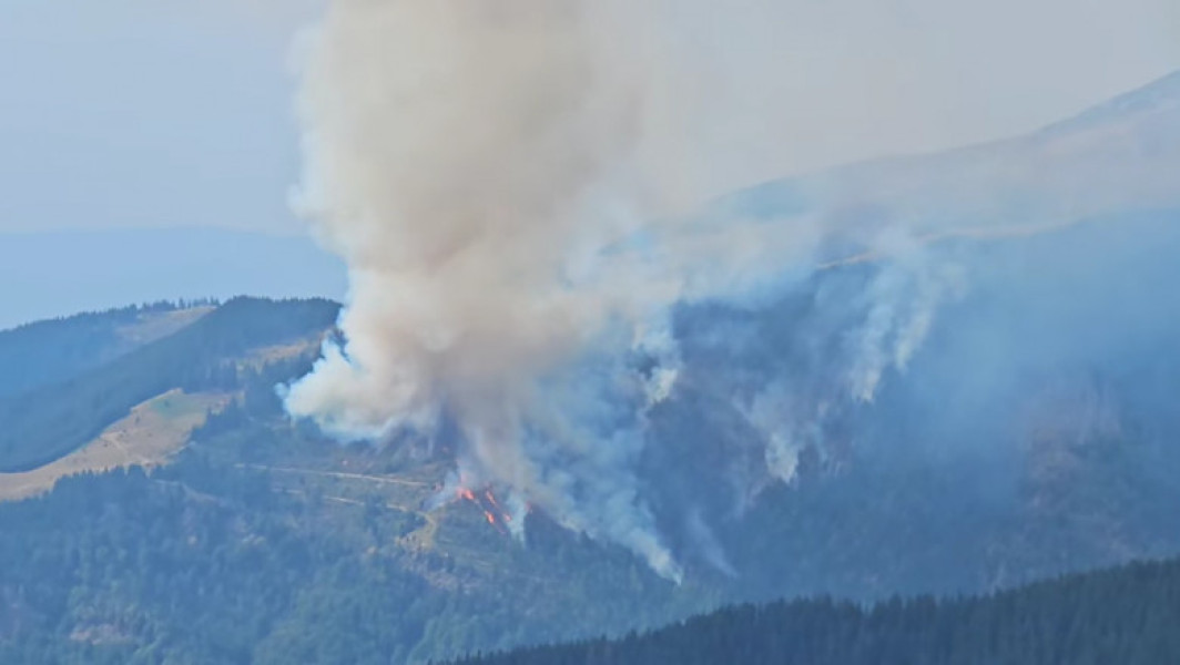 Incendii de pădure în județul Gorj, zone montane afectate