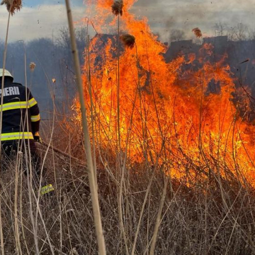 Pompierii din Cluj intervin pentru stingerea unui incendiu de vegetație în comuna Viisoara