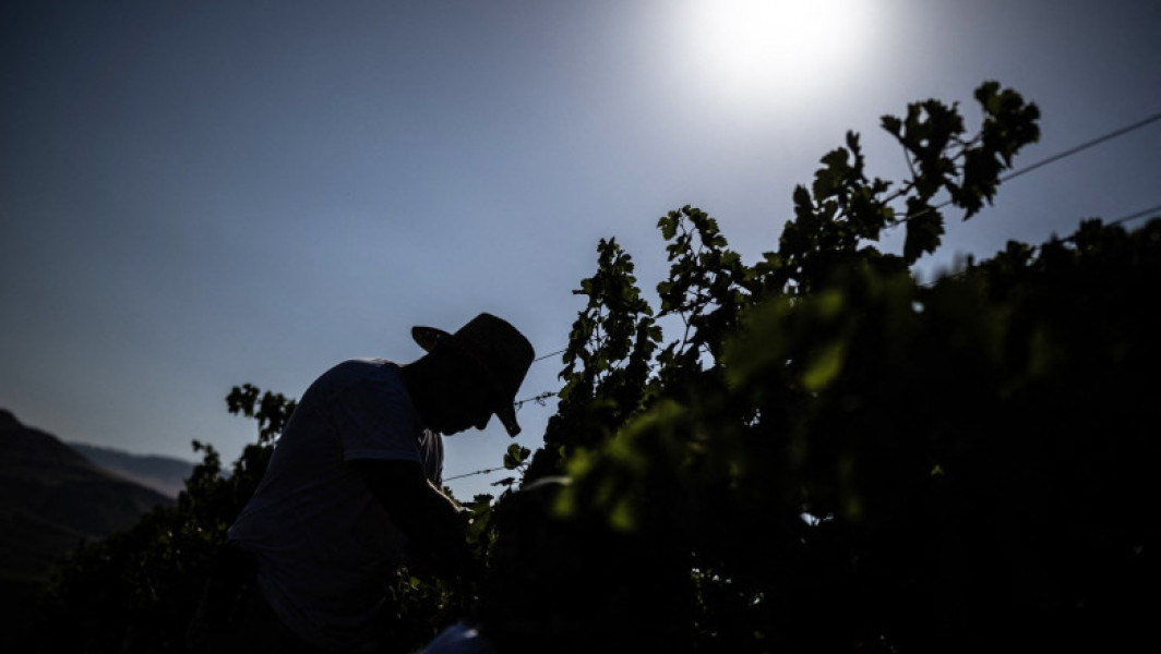 Seceta afectează grav agricultura din Serbia și regiunea Balcanilor