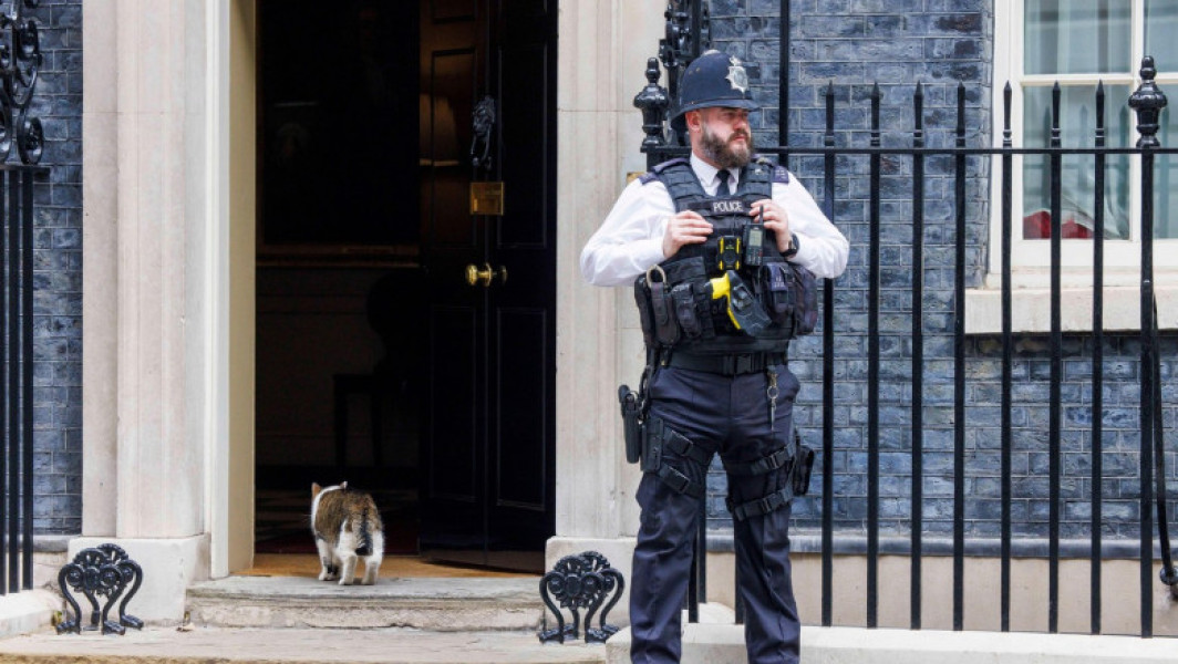Sir Keir Starmer aduce o pisică nouă în Downing Street