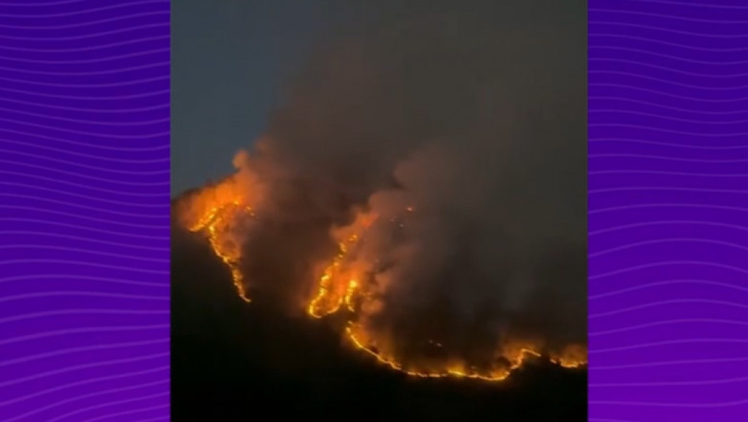 Incendiu de pădure în județul Vâlcea, peste 20 de hectare afectate