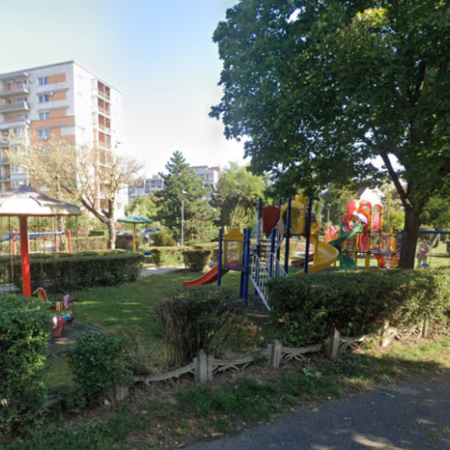 Starea parcului Fraternității din Cluj-Napoca se înrăutățește