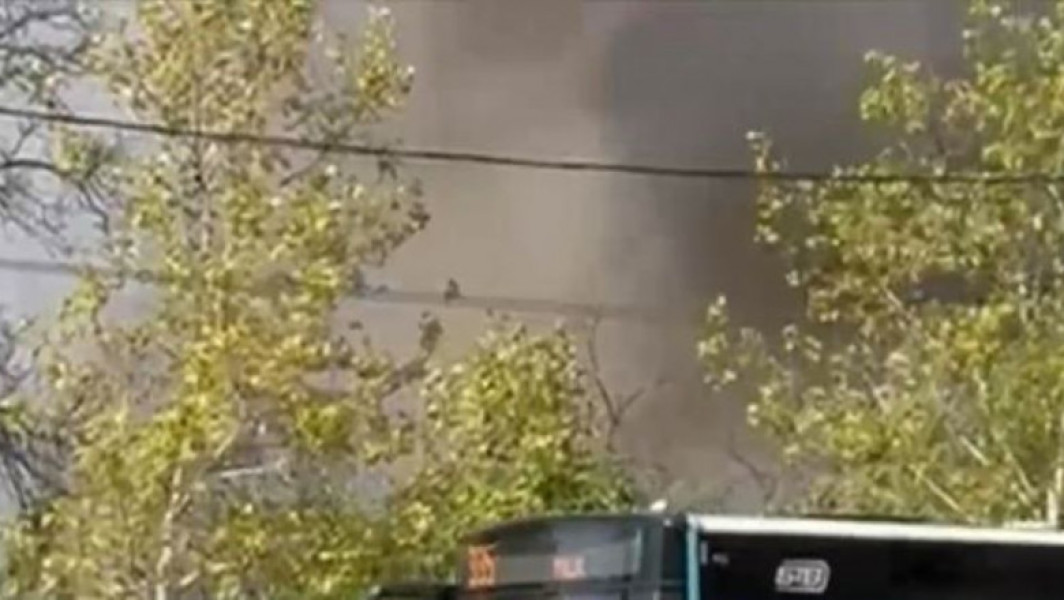 Incendiu devastator în Parcul IOR: 10,000 de metri pătrați de vegetație distruși