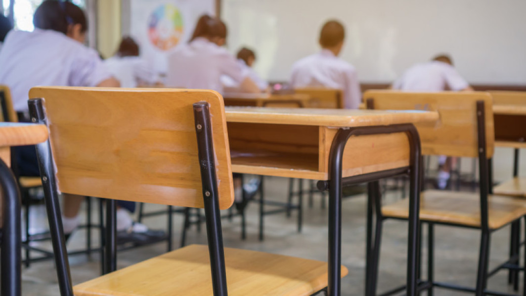 Avantajele "Anului de Tranzitie" in educatia irlandeza