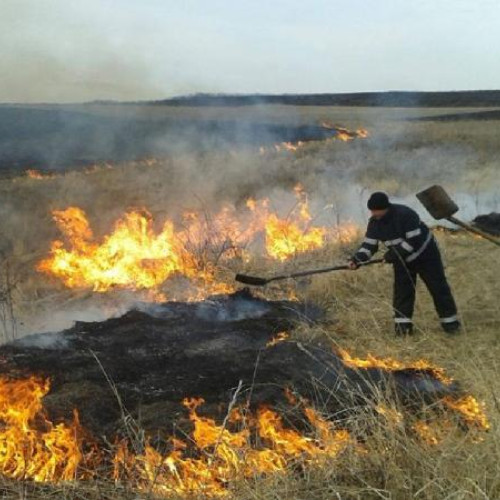 Trei ardeleni amendați pentru incendii de vegetație uscată