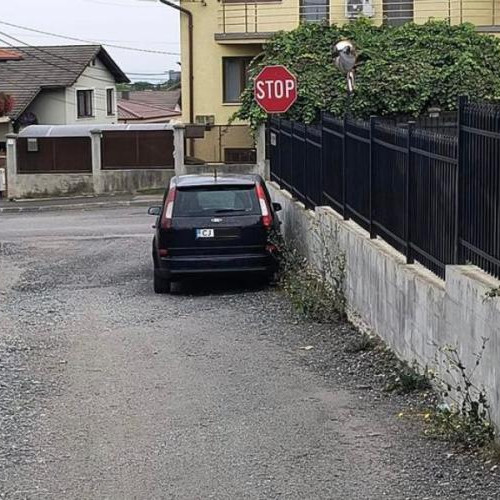 Șofer din Cluj-Napoca ignoră regulile de circulație și blochează o intersecție