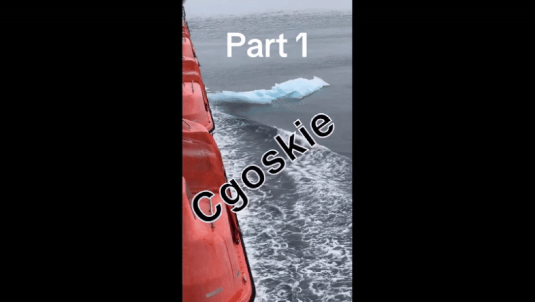 Pasagerii unui vas de croazieră trăiesc un incident asemănător cu Titanic în Alaska