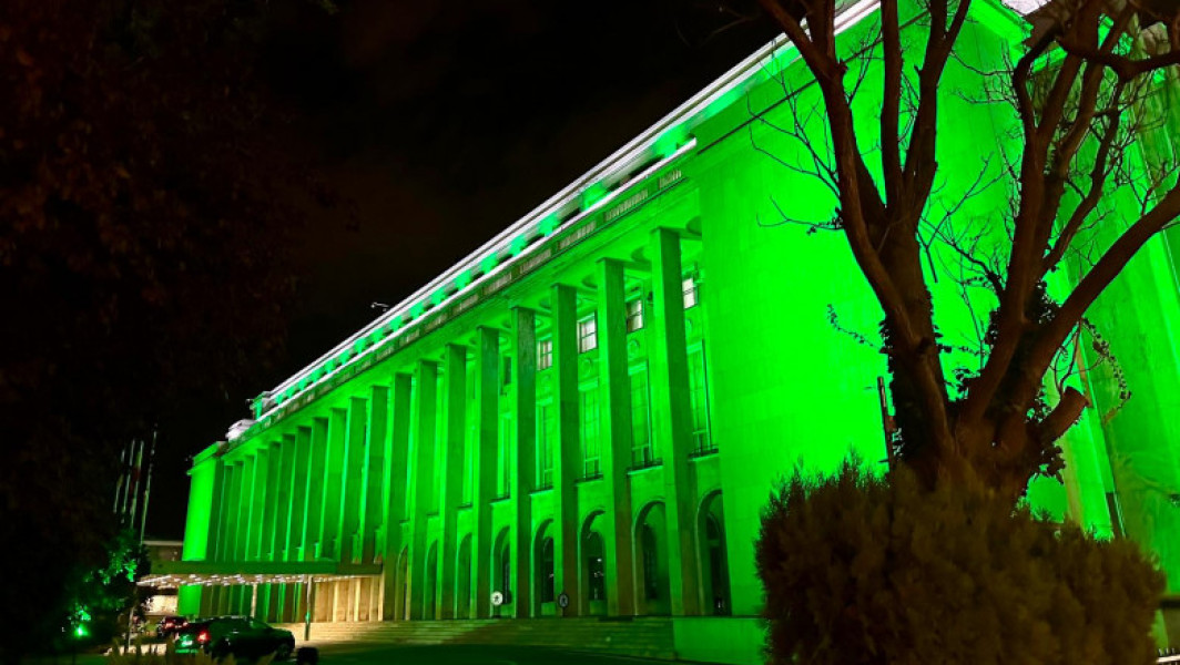 Palatul Parlamentului și Palatul Victoria sunt iluminate în verde pentru conștientizarea sindromului Leigh