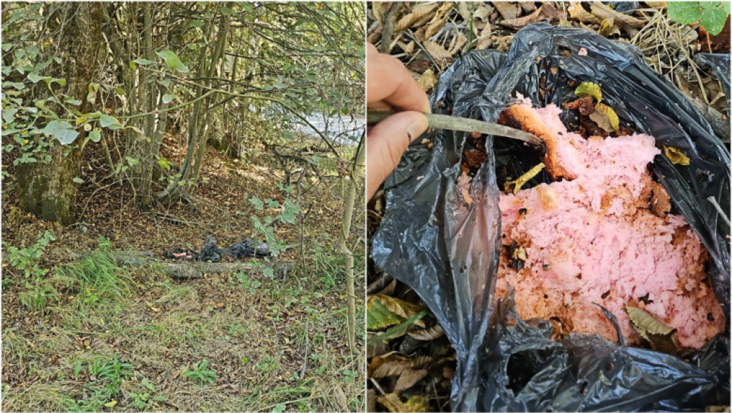 Descoperire șocantă în Porumbacu de Sus: Otrăvirea animalelor într-o zonă turistică