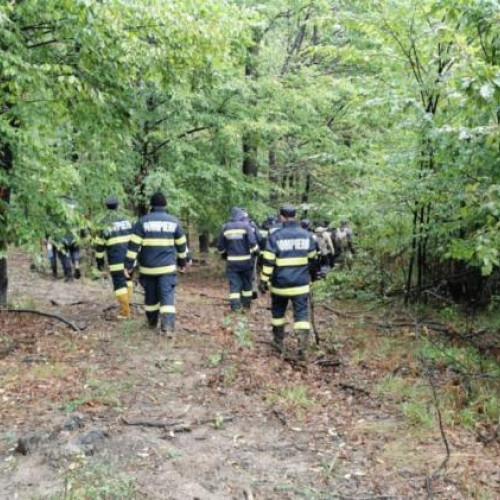 Un bătrân de 80 de ani, dispărut patru zile, găsit în viață în pădure