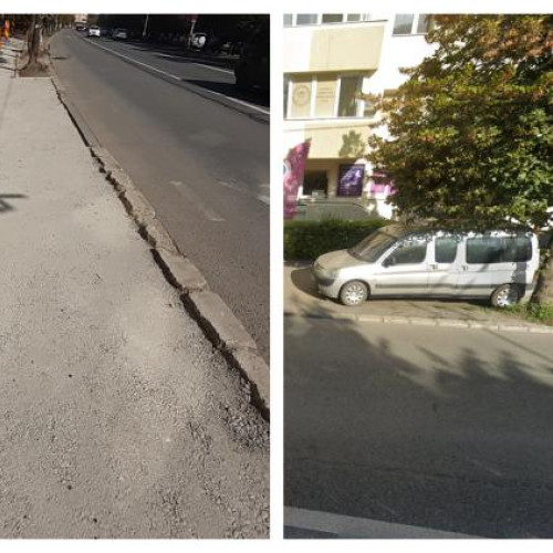 Acuzații împotriva administrației locale pentru distrugerea spațiului verde pe Bulevardul Titulescu