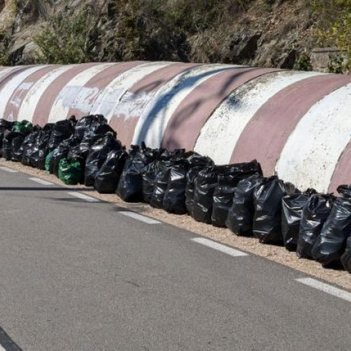 Ziua de Curățenie Națională, un succes la Cluj