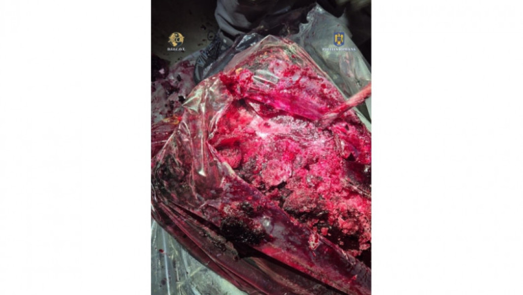 Captură record de droguri în portul Constanța
