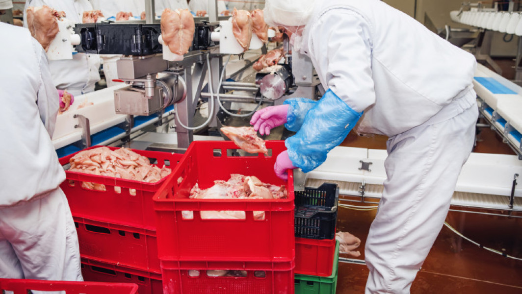 Contaminare cu listeria în mesele servite copiilor din școlile din Mehedinți