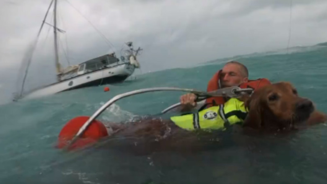 Paza de Coastă a Statelor Unite salvează un bărbat și câinele său după ce barca lor s-a scufundat