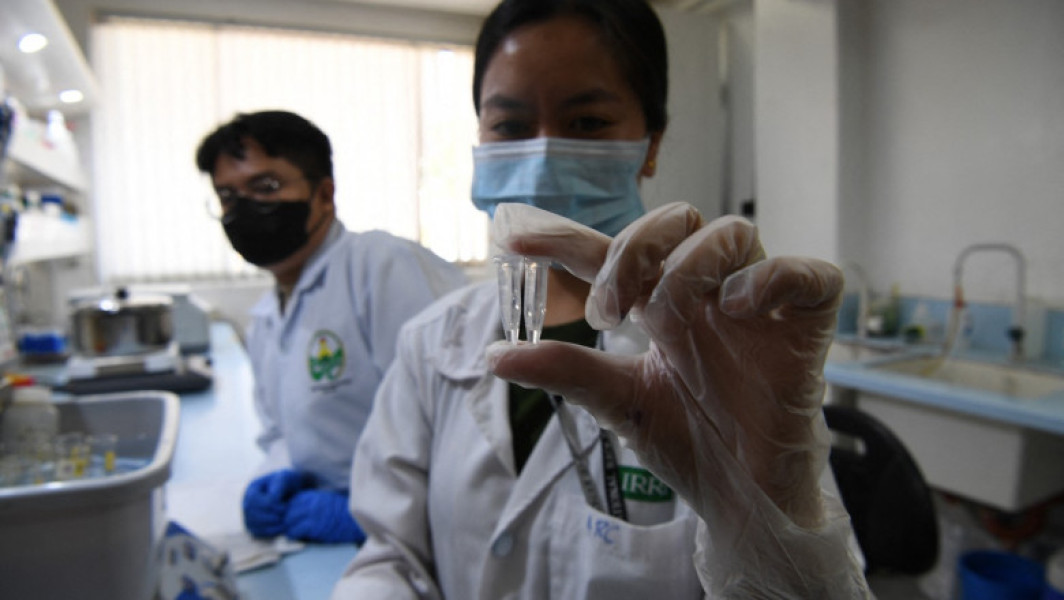 Orezul mai sănătos ar putea reduce riscul diabetului de tip 2, spun cercetătorii filipinezi