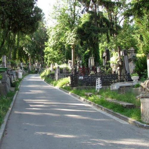 O clujeancă solicită îmbunătățirea iluminatului public în Cimitirul Central