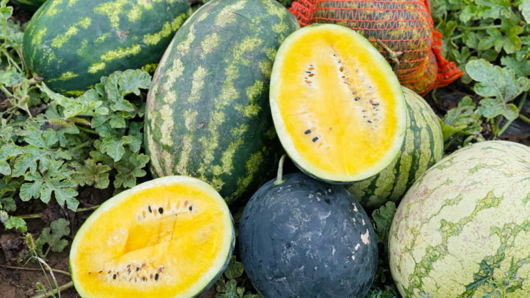 Temperaturile anormale din octombrie influențează agricultura din România
