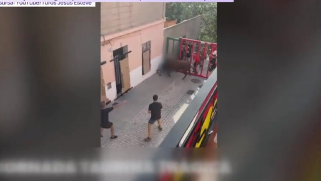 Incident grav în cadrul unei curse cu tauri în estul Spaniei