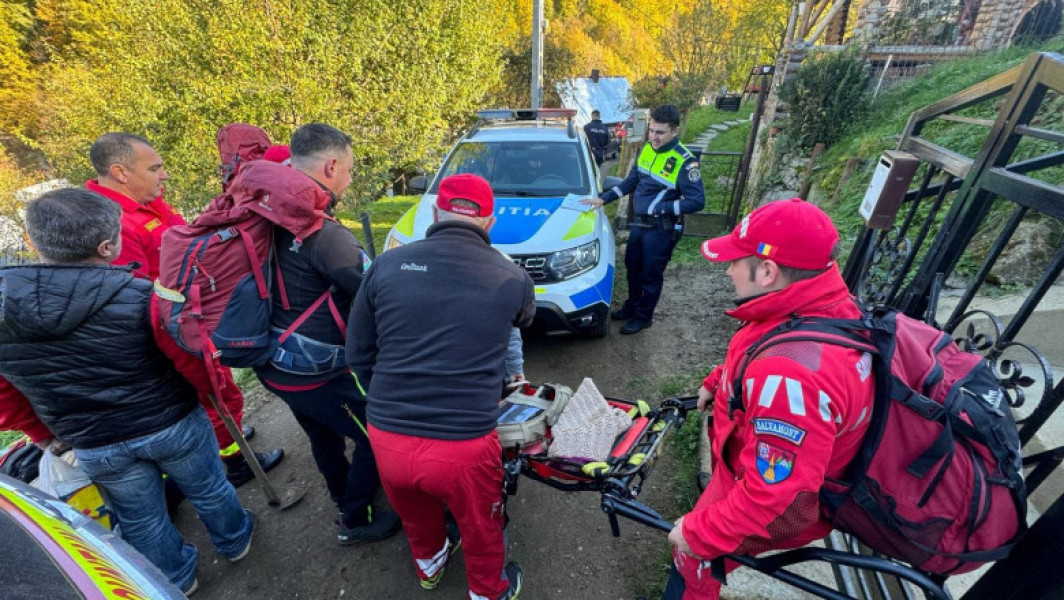Femeie de 67 de ani din Maramureș, atacată de un câine vagabond