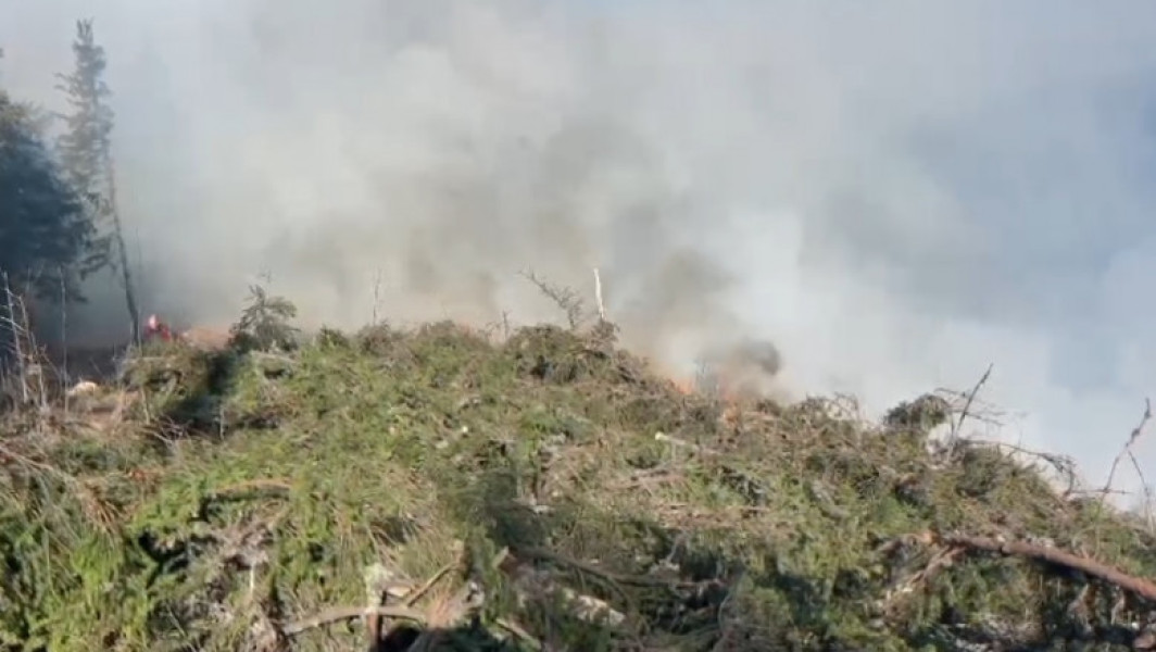 Incendiu de pădure în apropierea Vârfului Comisu, intervenții în forță