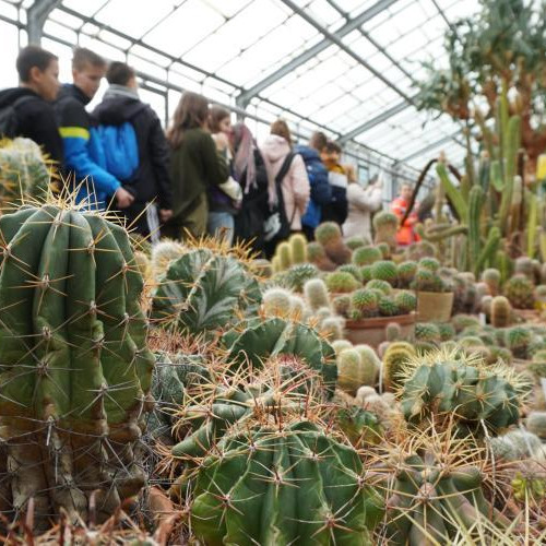 Sera cu plante suculente de la Grădina Botanică din Cluj, deschisă pentru vizitatori