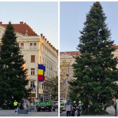 Brad de Crăciun de 20 de metri, instalat în Piața Unirii din Cluj-Napoca