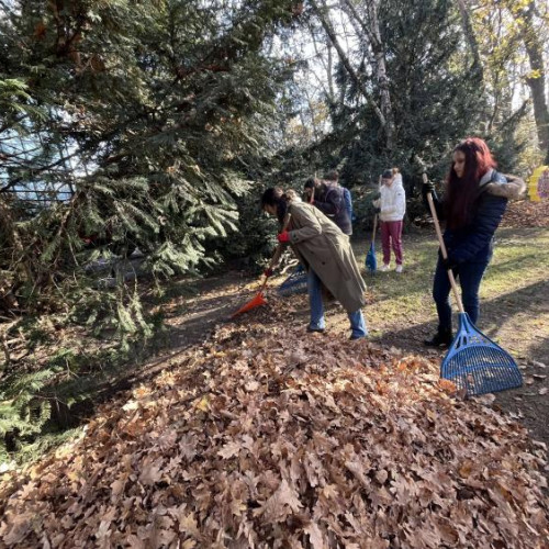 UBB Goes Green: Studenții Universității Babeș-Bolyai contribuie la curățenia de toamnă