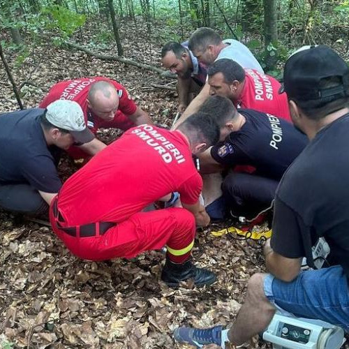 Incident în pădurea din Buza: O femeie de 60 de ani, rănită