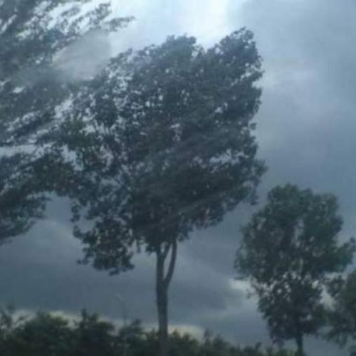 Avertizare cod galben de vânt puternic în zona montană a Clujului