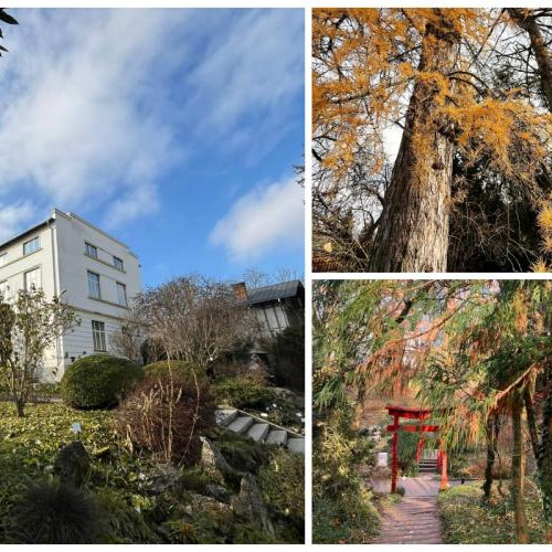 Portile Gradinii Botanice &quot;Alexandru Borza&quot; se deschid in acest weekend!