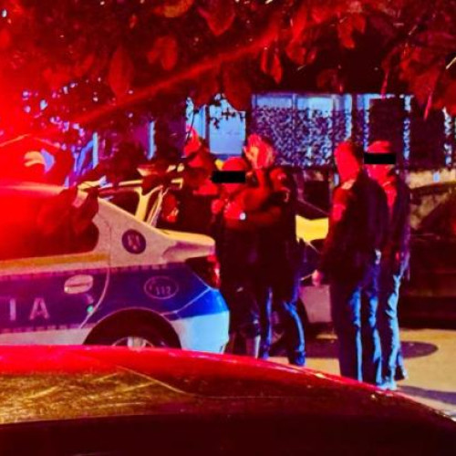 Locuitorii din Gruia protestează împotriva zgomotului provocat de un bar