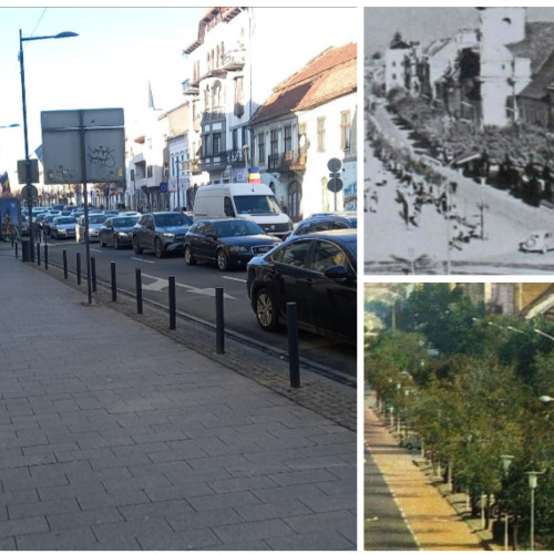 Clujean semnalează lipsa arborilor pe Bulevardul Eroilor