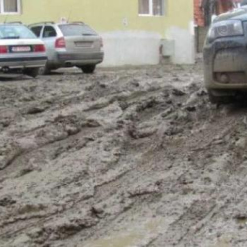 Locuitorii de pe strada Nuferilor din Cluj-Napoca cer măsuri pentru curățenia străzii