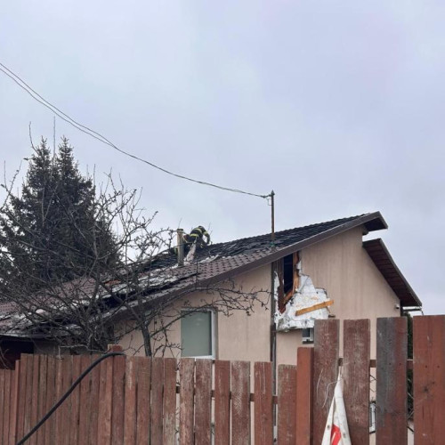 Incendiu la Muntele Baisorii, intervenție rapidă a pompierilor
