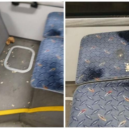 Un clujean dezvăluie mizeria din autobuzul M41