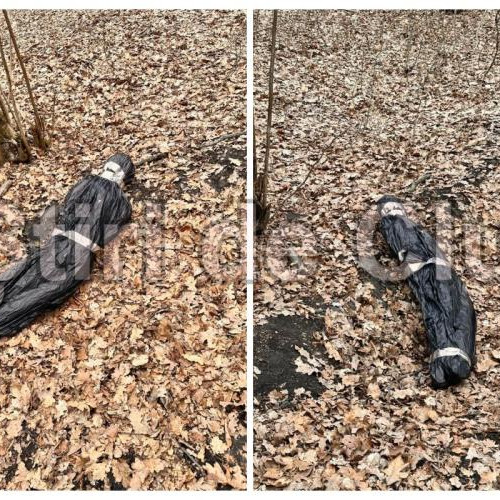 Colet suspect găsit în Pădurea Hoia din Cluj