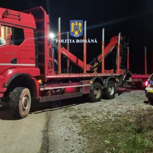 Doi bărbați cercetați pentru infracțiuni silvice la Cluj