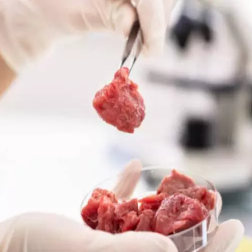 Alarmă alimentară: E-Coli și stafilococ auriu, în carne de pui și porc în magazinele din România