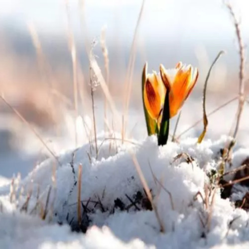 Prognoza meteo pentru 2 februarie: Ploi și temperaturi de primăvară!