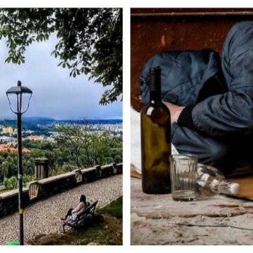Cluj-Napoca, Cetatuia în pericol din cauza igienei precare
