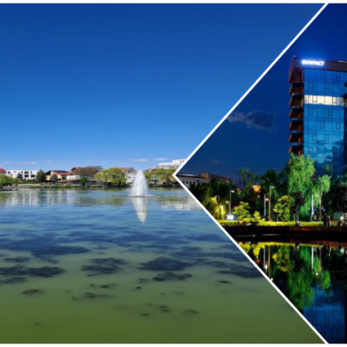 Lacul Gheorgheni revine la viață! Imagini recente arată o schimbare semnificativă în zona lacului, potrivit stiridecluj.ro. După o perioadă lungă în care locuitorii din Cluj evitau această zonă, din cauza apelor tulbure, a vegetației sufocante și a mirosurilor neplăcute, lacul pare să fi suferit o transformare vizibilă.
