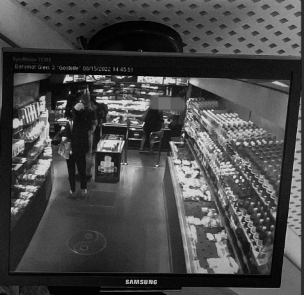 Image Description