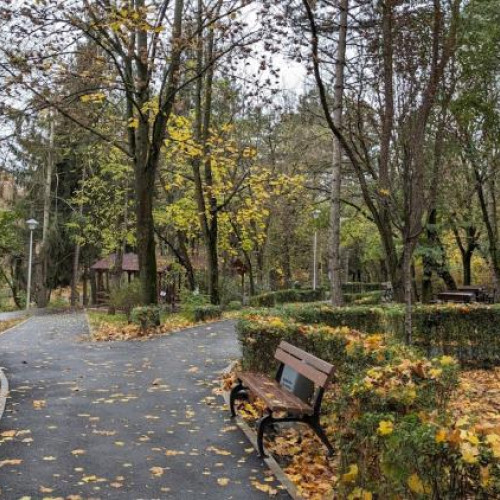 Stăpânii de câini din Cluj cer ajutor! Țarcurile din Parcul Detunata, un coșmar cu noroaie, rase amestecate și zero condiții decente